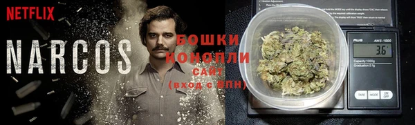 гидра Балахна