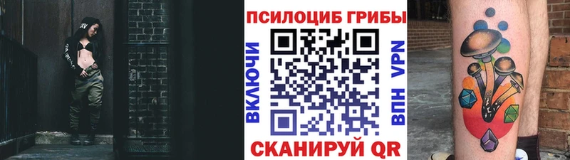 blacksprut ссылка  Сенгилей  Псилоцибиновые грибы ЛСД 